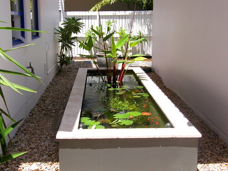 67 Saltwater Avenue, Noosa Heads QLD 4567