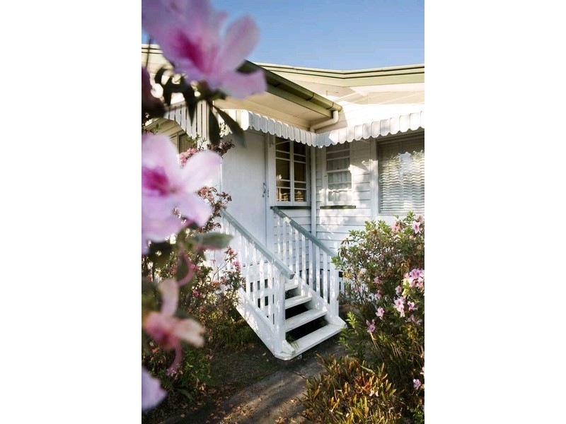 41 Hendry Street, Tewantin QLD 4565