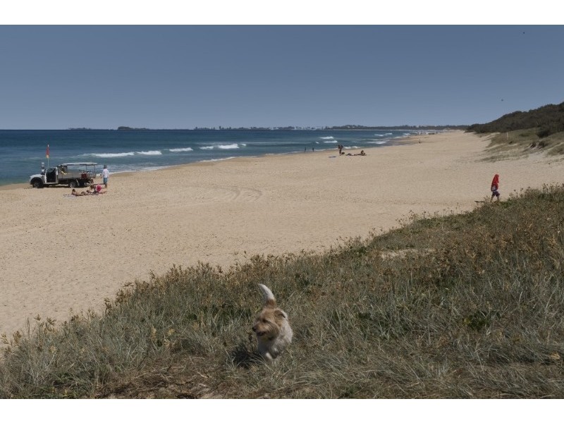 24 Yerranya Row, Yaroomba QLD 4573