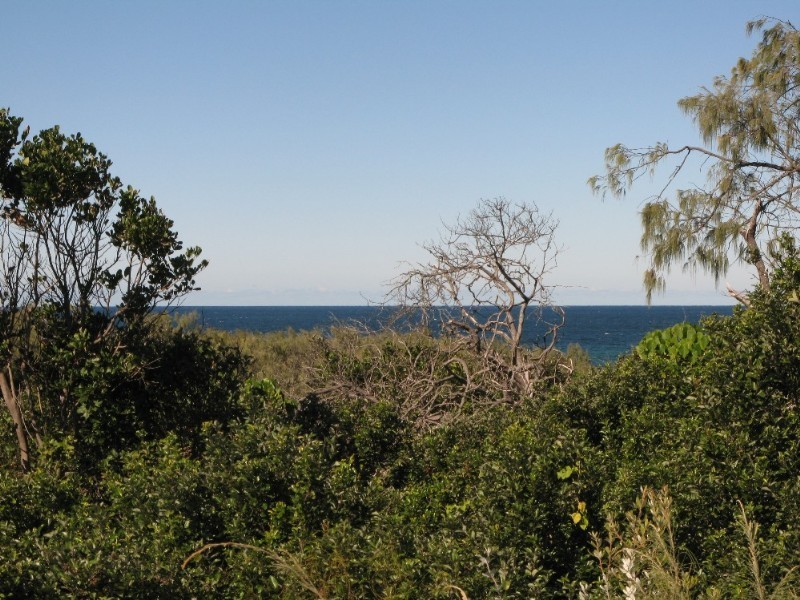 11/390 David Low Way, Peregian Beach QLD 4573