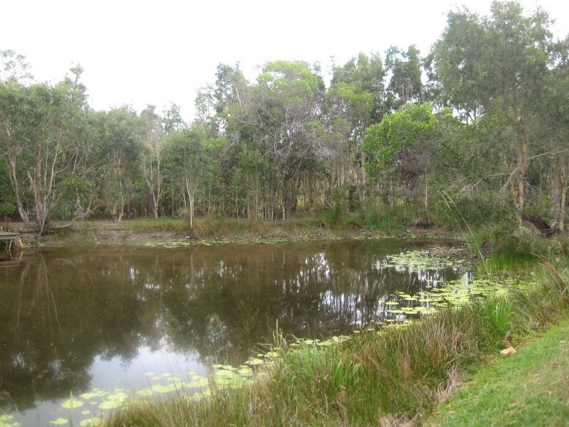 40 Murdering Creek Road, Peregian Beach QLD 4573