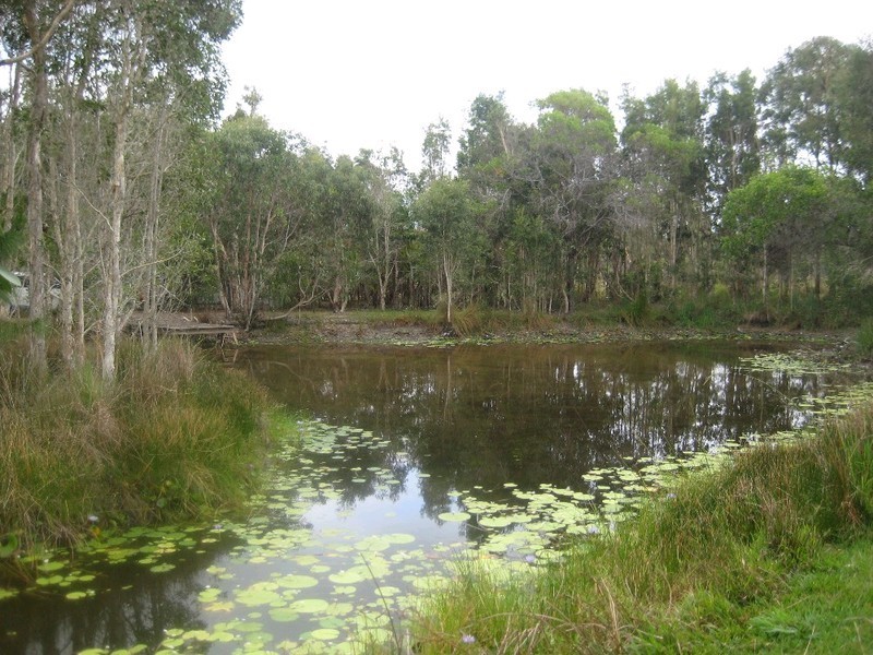 40 Murdering Creek Road, Peregian Beach QLD 4573