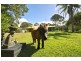 150 Mary Anne Drive, Peregian Beach QLD 4573