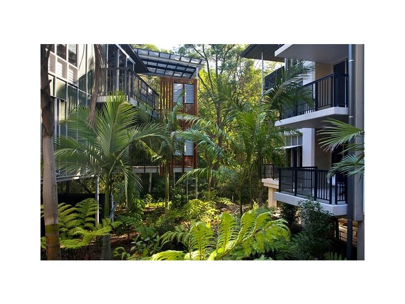 Noosa Heads QLD 4567