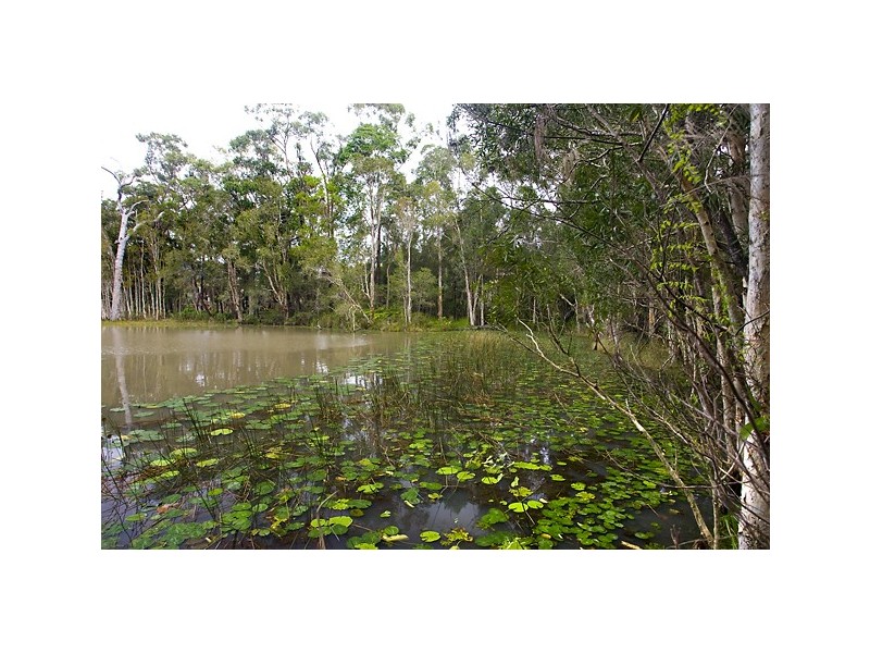 21 Silkwood Drive, Noosaville QLD 4566