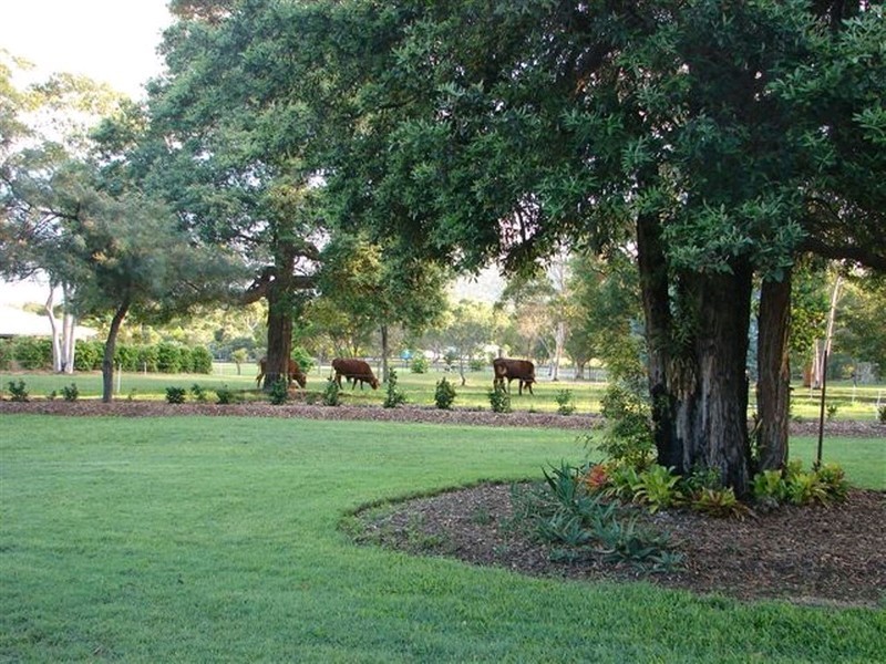 Cooroibah QLD 4565