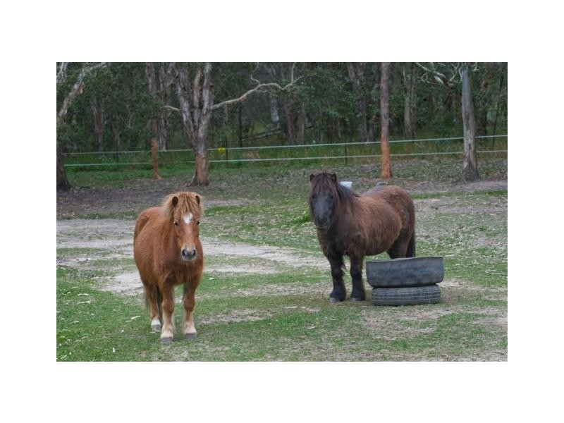 150 Mary Anne Drive, Peregian Beach QLD 4573