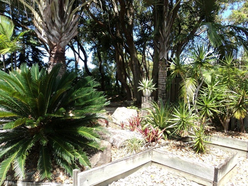 5/1-5 Elanda Street, Sunshine Beach QLD 4567