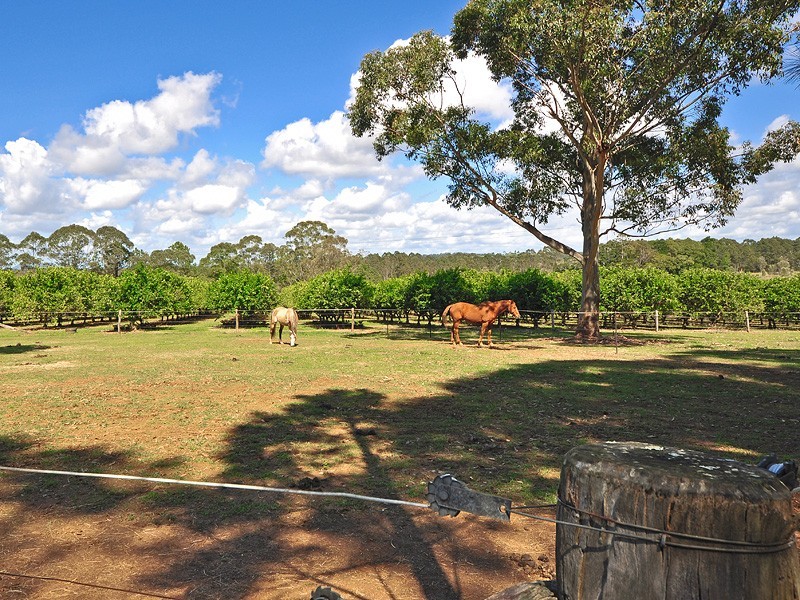 142 Cootharaba Downs Rd, Cootharaba QLD 4565