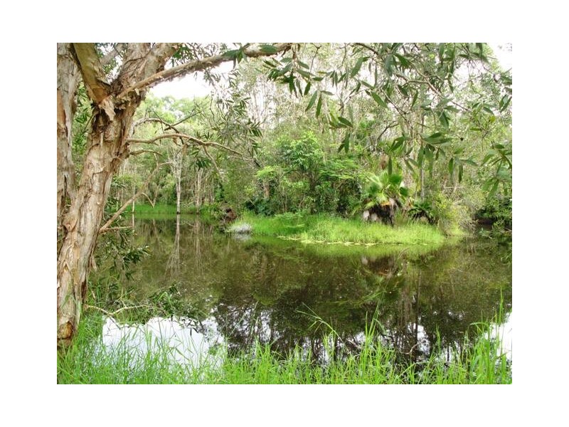 1503 Louis Bazzo Drive, Cootharaba QLD 4565