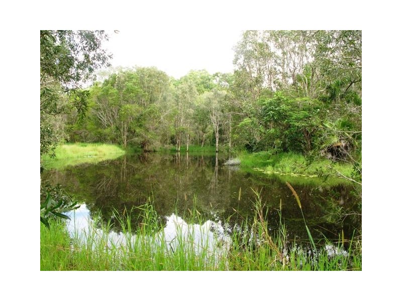 1503 Louis Bazzo Drive, Cootharaba QLD 4565