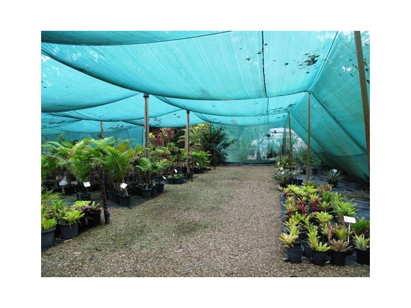 1503 Louis Bazzo Drive, Cootharaba QLD 4565