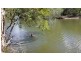 30 Tingara Court, Tewantin QLD 4565