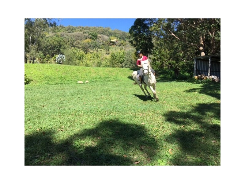 89 Dahlia Road, Verrierdale QLD 4562