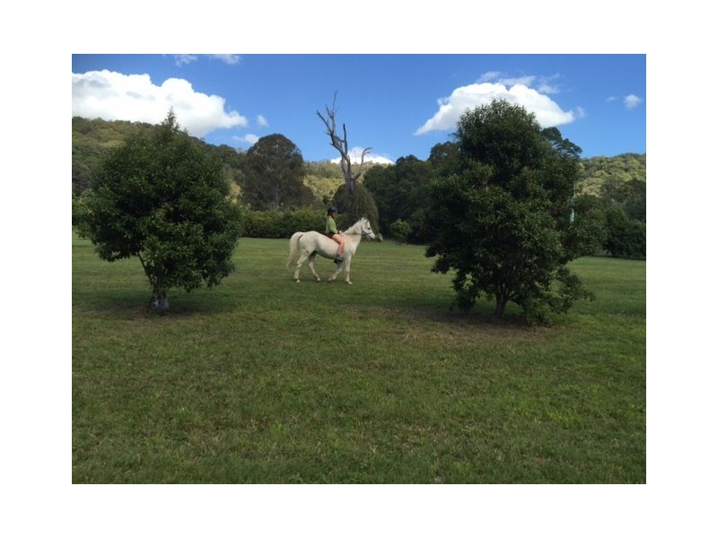 89 Dahlia Road, Verrierdale QLD 4562