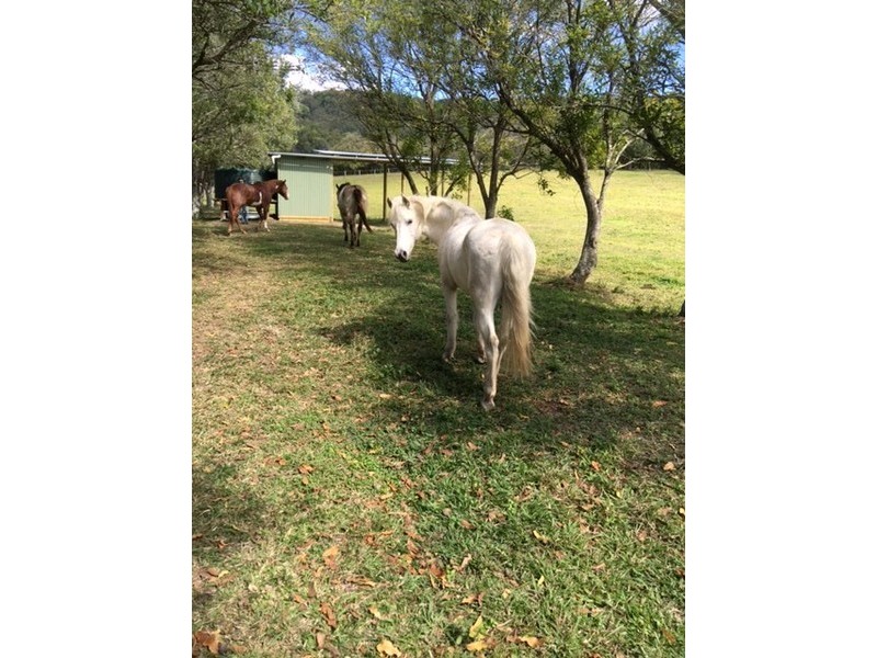 89 Dahlia Road, Verrierdale QLD 4562