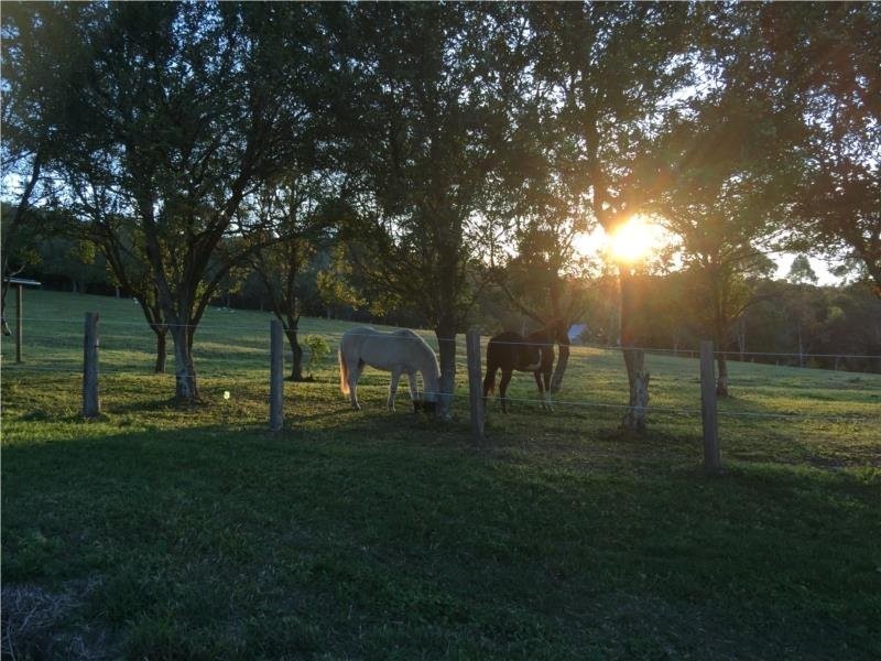 89 Dahlia Road, Verrierdale QLD 4562