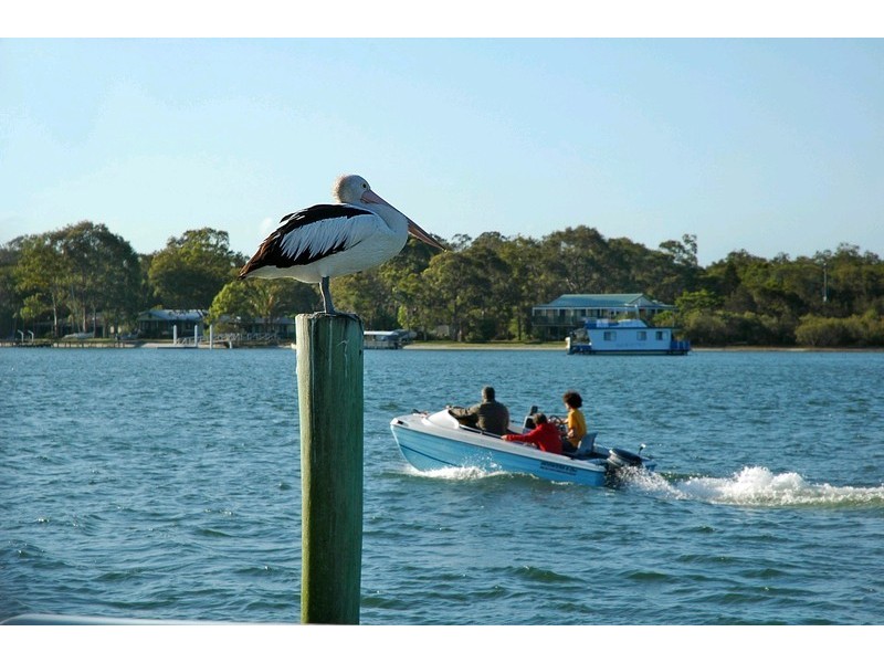 3/10 Cloudsley Street, Noosaville QLD 4566