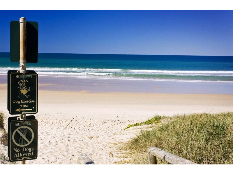 9 Lorilet Street, Peregian Beach QLD 4573