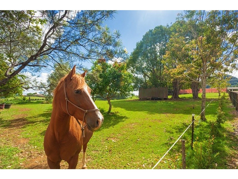 118 Lone Hand Road, Eumundi QLD 4562