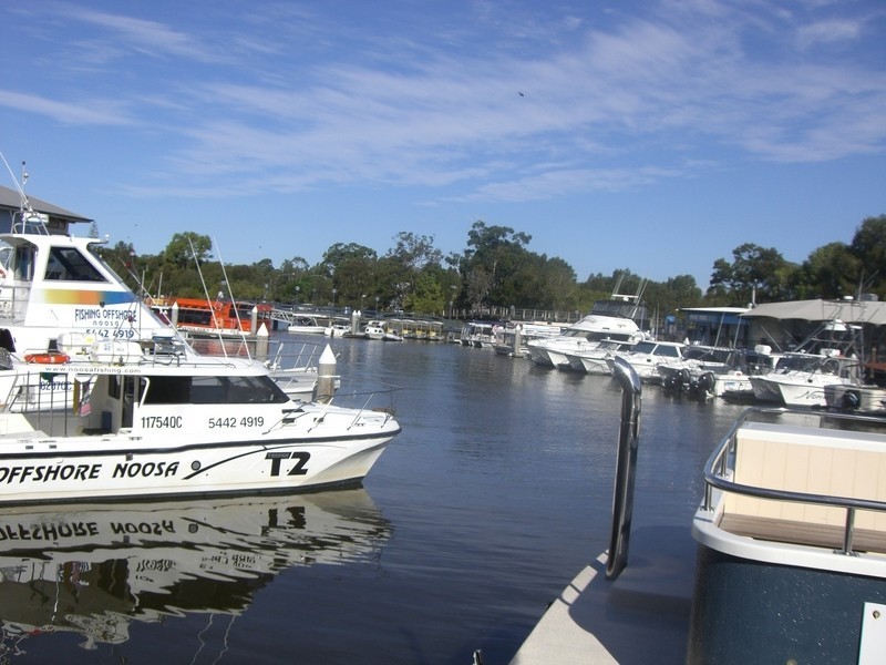 117 Hendry Street, Tewantin QLD 4565