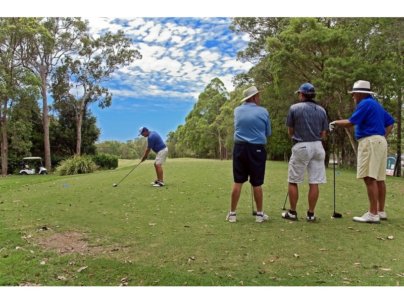 15 Elkhorn Drive, Tewantin QLD 4565