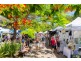 7 Brushbox Place, Eumundi QLD 4562