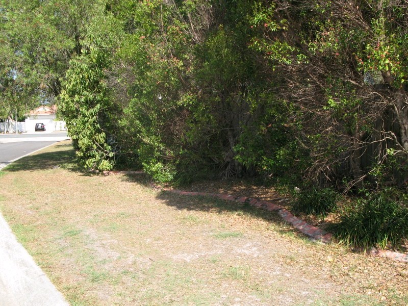 3 Sailfish Court, Noosaville QLD 4566