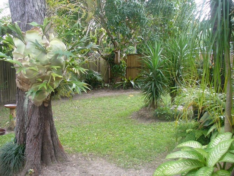 Tewantin QLD 4565