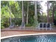 43 Griffith Avenue, Tewantin QLD 4565