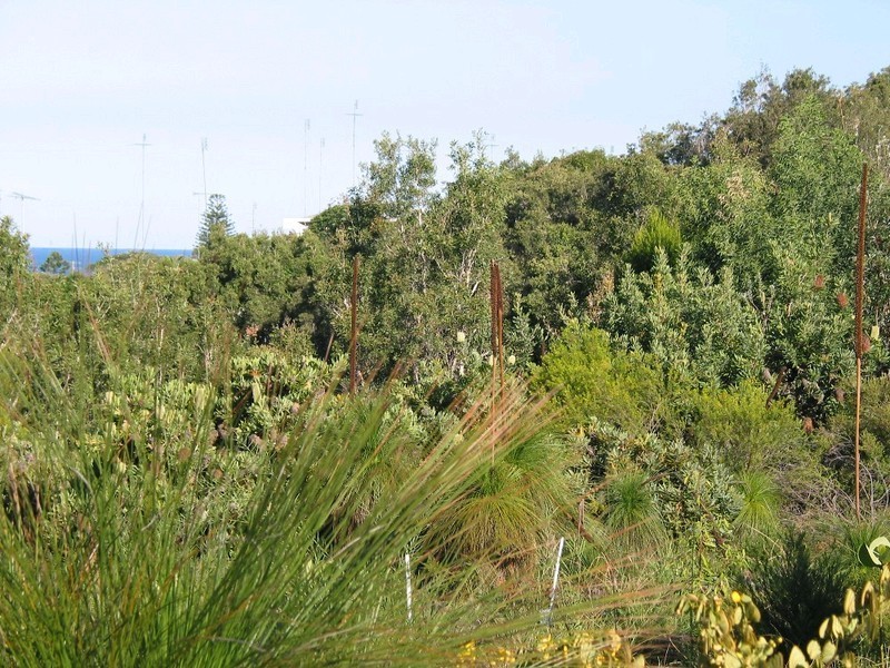 Lot 33 Seamist Court, Sunshine Beach QLD 4567
