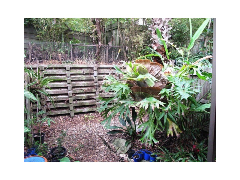 Sunshine Beach QLD 4567