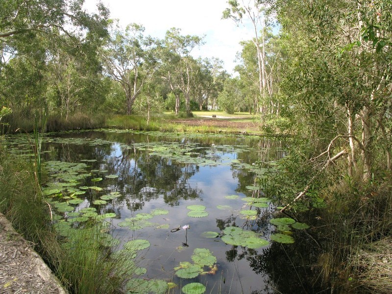 23 Wygani Drive, Noosa North Shore QLD 4565