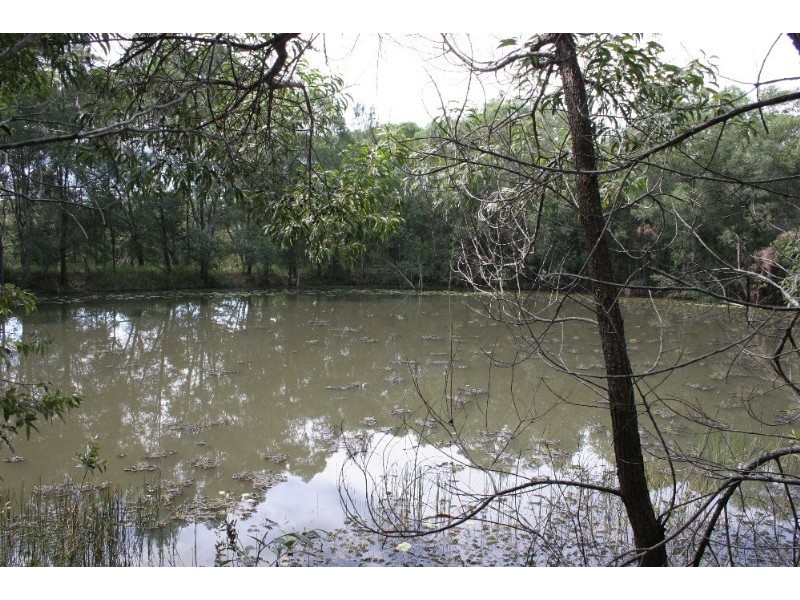 39 Hatch Street, Cootharaba QLD 4565