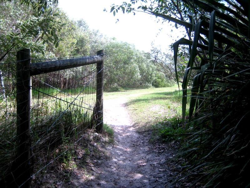 1 Cygnet Court, Wurtulla QLD 4575
