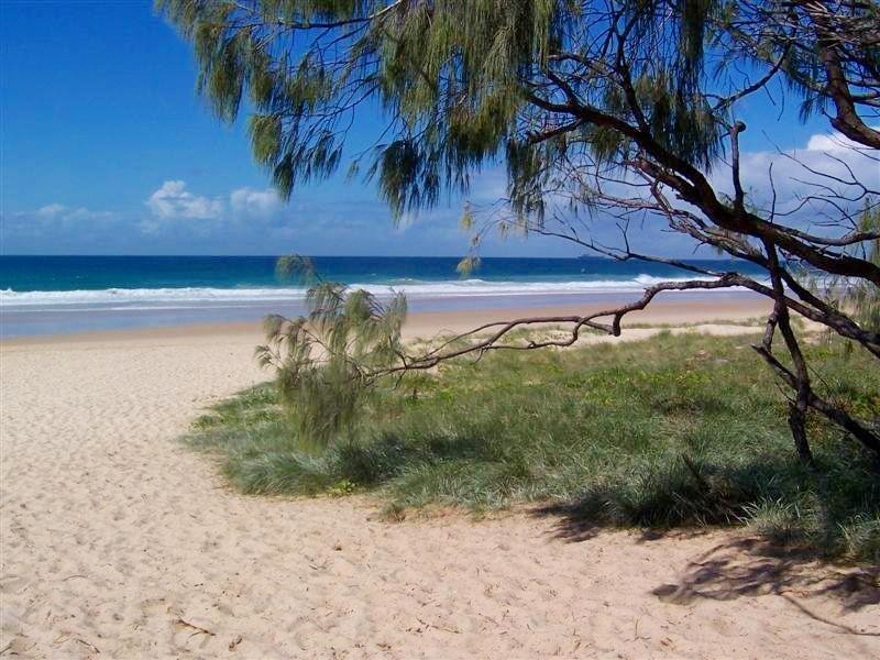 8 Bellbird Court, Wurtulla QLD 4575