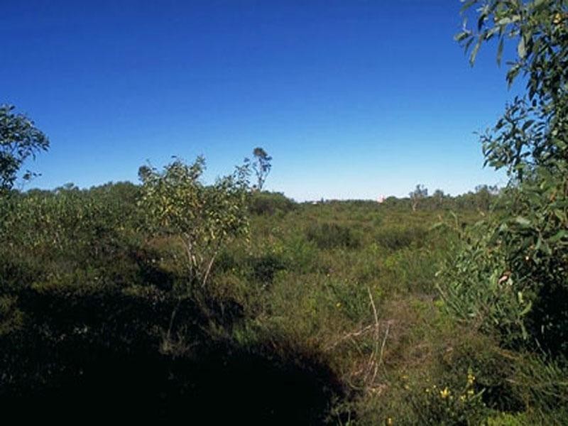 7 Firetail Court, Wurtulla QLD 4575