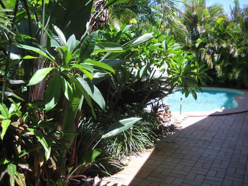 14 Gannet Close, Wurtulla QLD 4575