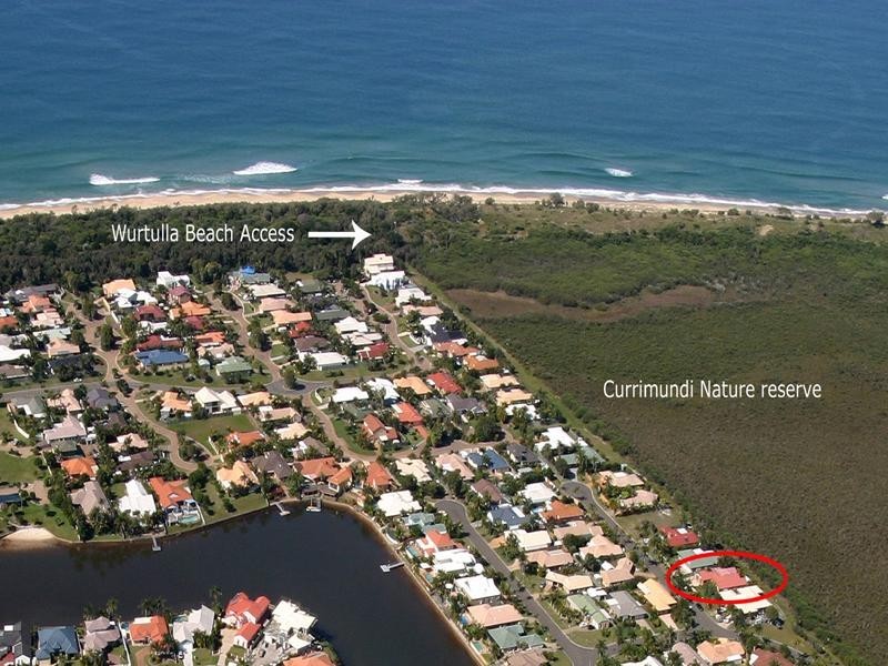 14 Gannet Close, Wurtulla QLD 4575