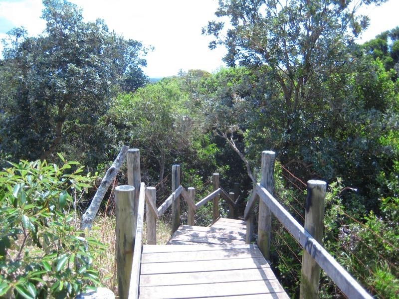 14 Gannet Close, Wurtulla QLD 4575