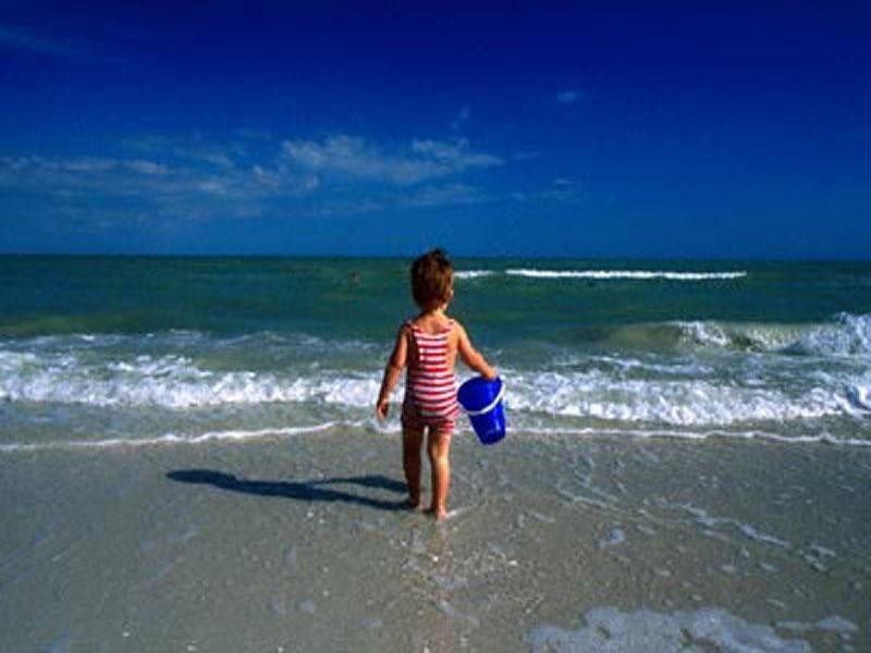 175 Oceanic Drive, Warana QLD 4575