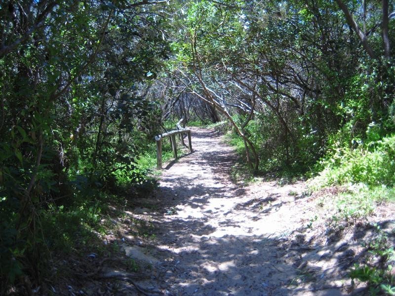 206 Oceanic Drive, Bokarina QLD 4575