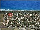 408 Oceanic Drive, Wurtulla QLD 4575