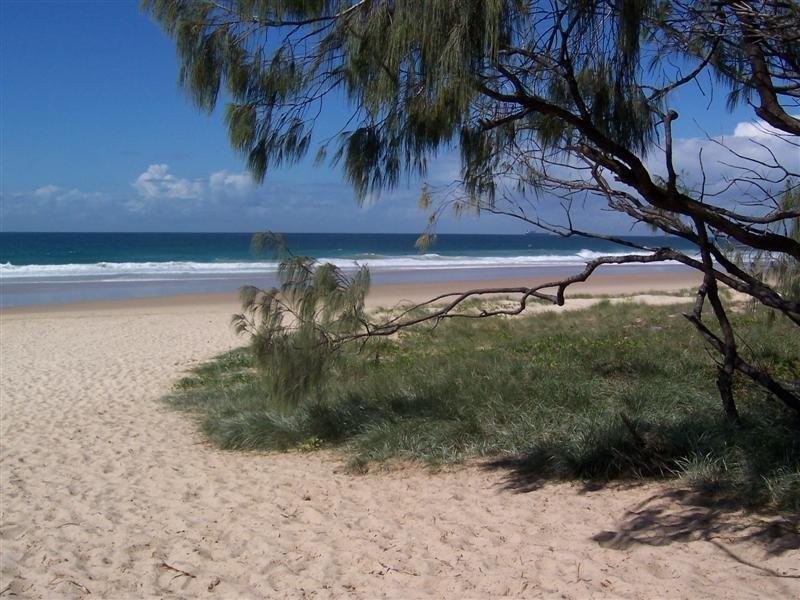 436 Oceanic Drive, Wurtulla QLD 4575