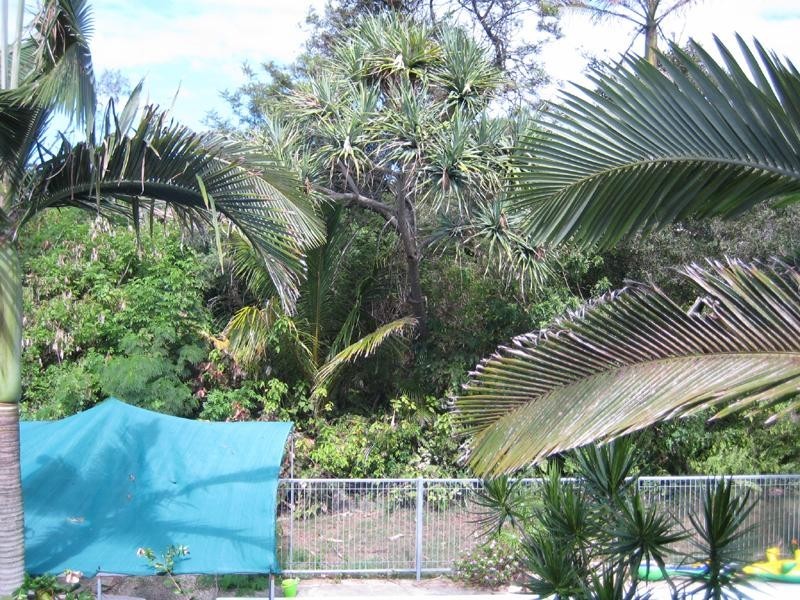 71 Oceanic Drive, Warana QLD 4575