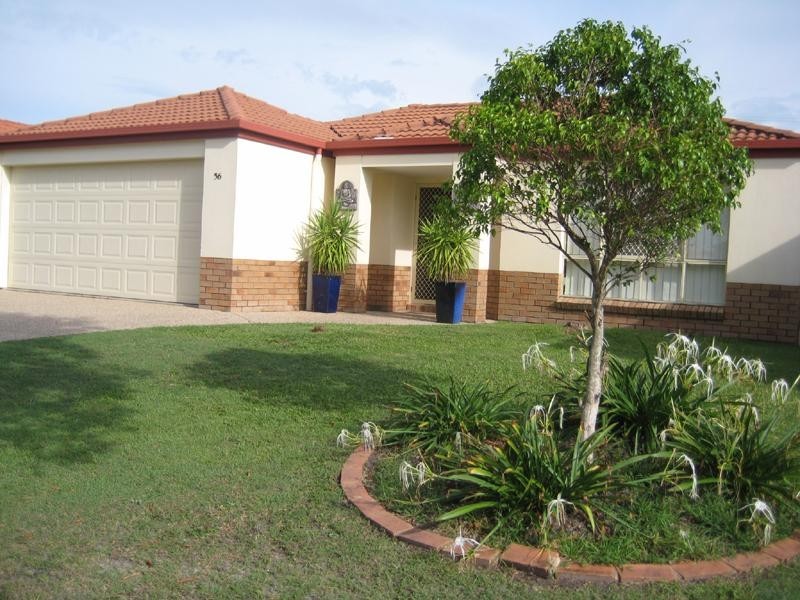 56 Statesman Circuit, Sippy Downs QLD 4556