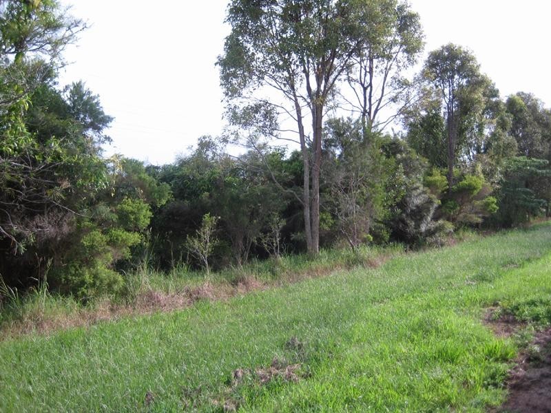 56 Statesman Circuit, Sippy Downs QLD 4556