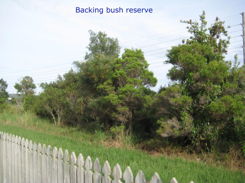 56 Statesman Circuit, Sippy Downs QLD 4556