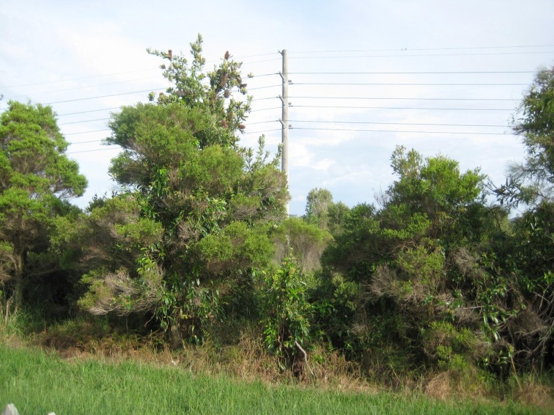 56 Statesman Circuit, Sippy Downs QLD 4556