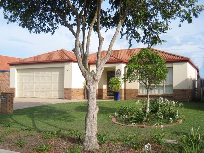56 Statesman Circuit, Sippy Downs QLD 4556